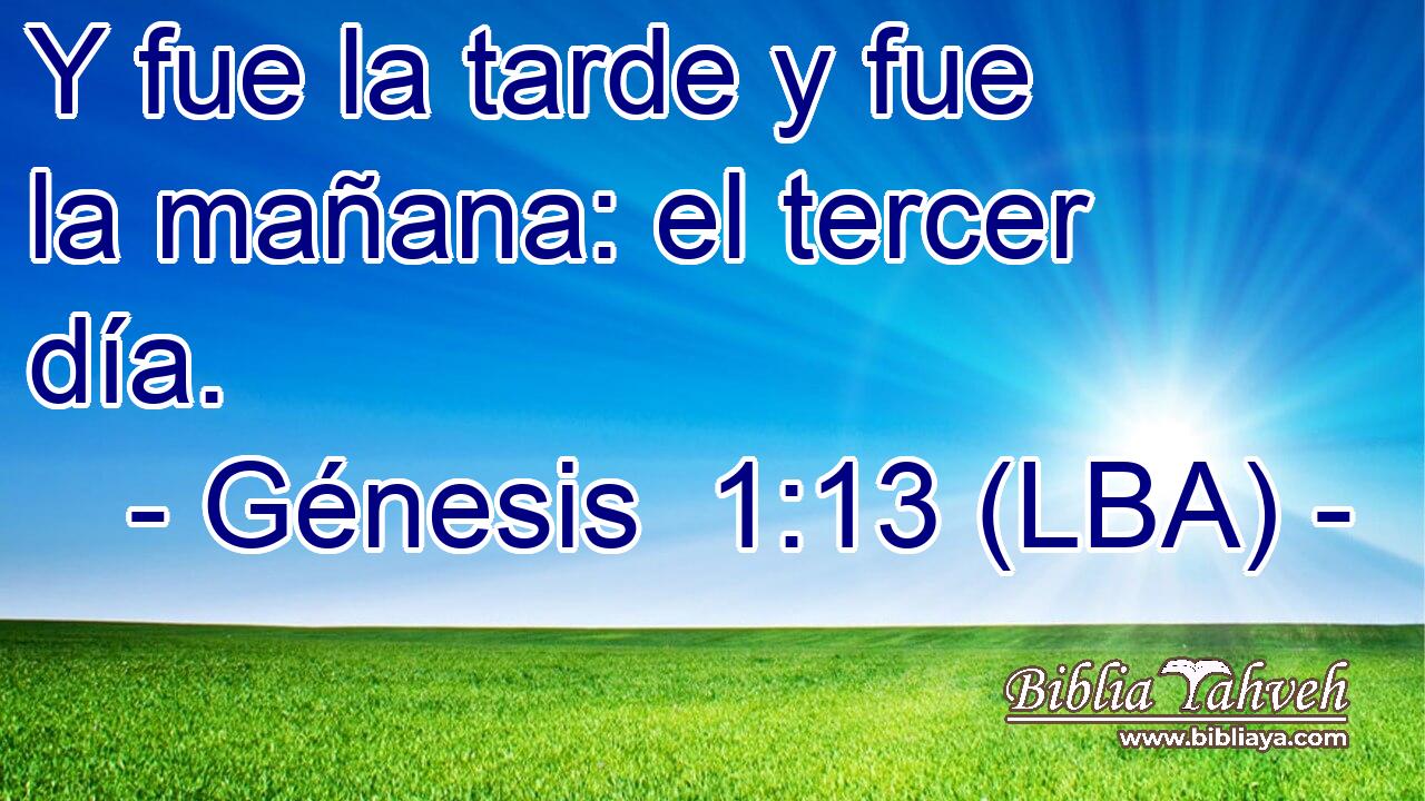 Y fue la tarde y fue la mañana: el tercer día.