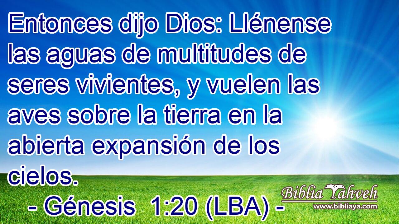 Entonces dijo Dios: Llénense las aguas de multitudes de seres vivientes, y vuelen las aves sobre la tierra en la abierta expansión de los cielos.