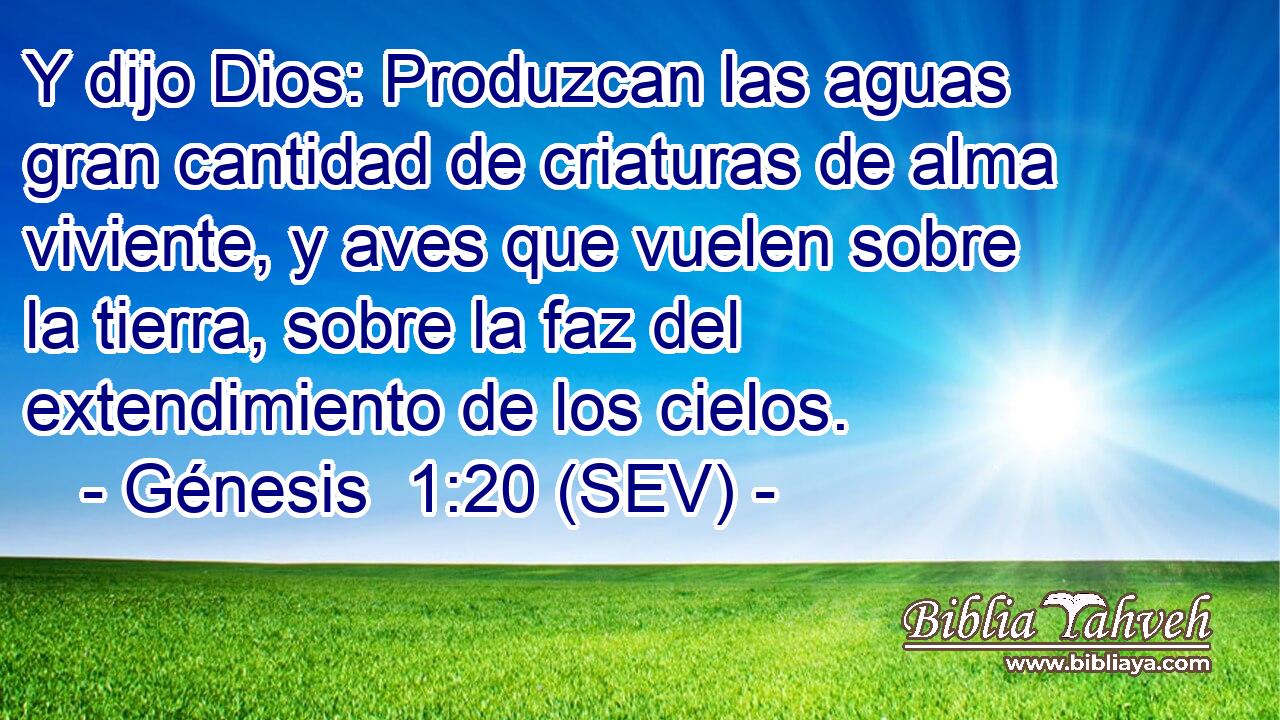 Y dijo Dios: Produzcan las aguas gran cantidad de criaturas de alma viviente, y aves que vuelen sobre la tierra, sobre la faz del extendimiento de los cielos.
