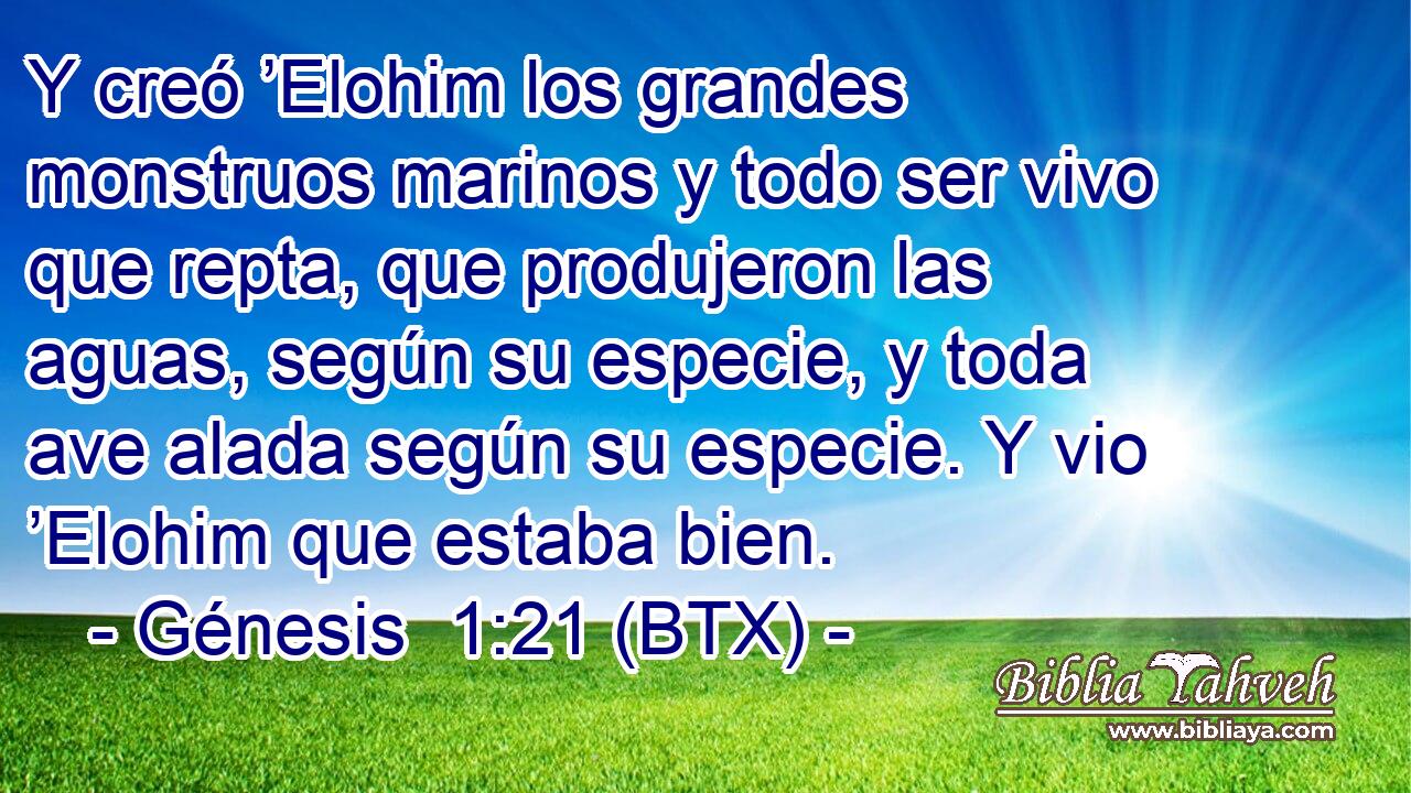 Y creó ’Elohim los grandes monstruos marinos y todo ser vivo que repta, que produjeron las aguas, según su especie, y toda ave alada según su especie. Y vio ’Elohim que estaba bien.