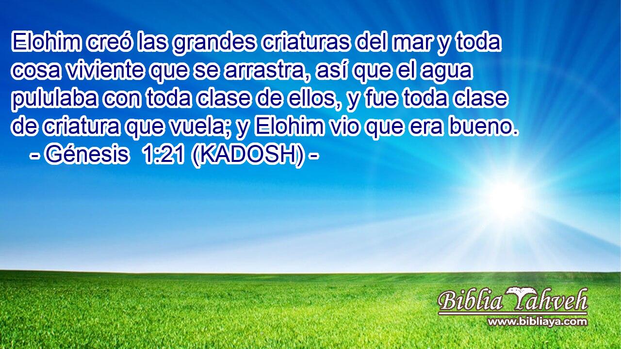  Elohim creó las grandes criaturas del mar y toda cosa viviente que se arrastra, así que el agua pululaba con toda clase de ellos, y fue toda clase de criatura que vuela; y Elohim vio que era bueno. 