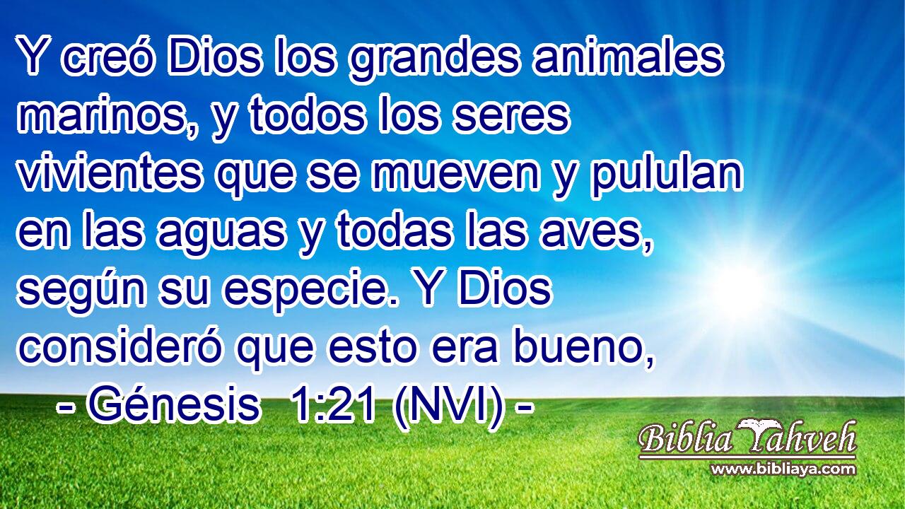  Y creó Dios los grandes animales marinos, y todos los seres vivientes que se mueven y pululan en las aguas y todas las aves, según su especie. Y Dios consideró que esto era bueno, 