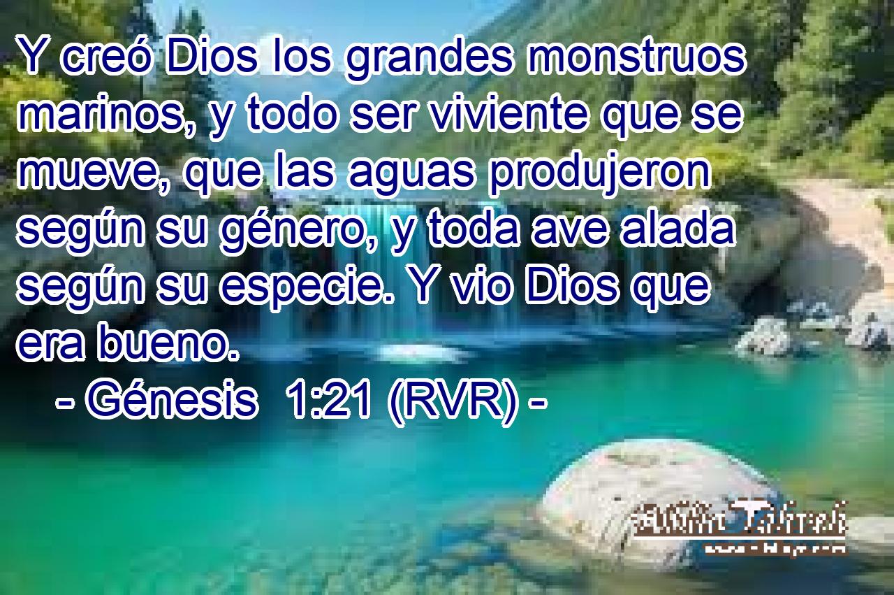 Y creó Dios los grandes monstruos marinos, y todo ser viviente que se mueve, que las aguas produjeron según su género, y toda ave alada según su especie. Y vio Dios que era bueno.