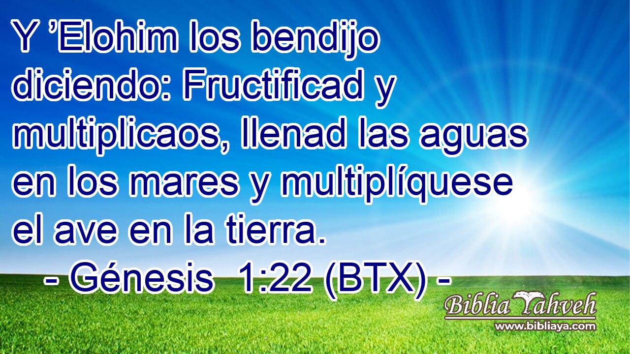 Y ’Elohim los bendijo diciendo: Fructificad y multiplicaos, llenad las aguas en los mares y multiplíquese el ave en la tierra.
