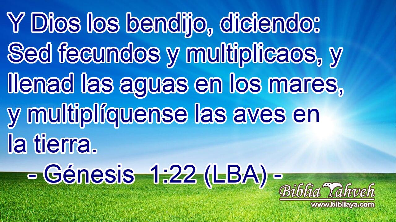 Y Dios los bendijo, diciendo: Sed fecundos y multiplicaos, y llenad las aguas en los mares, y multiplíquense las aves en la tierra.