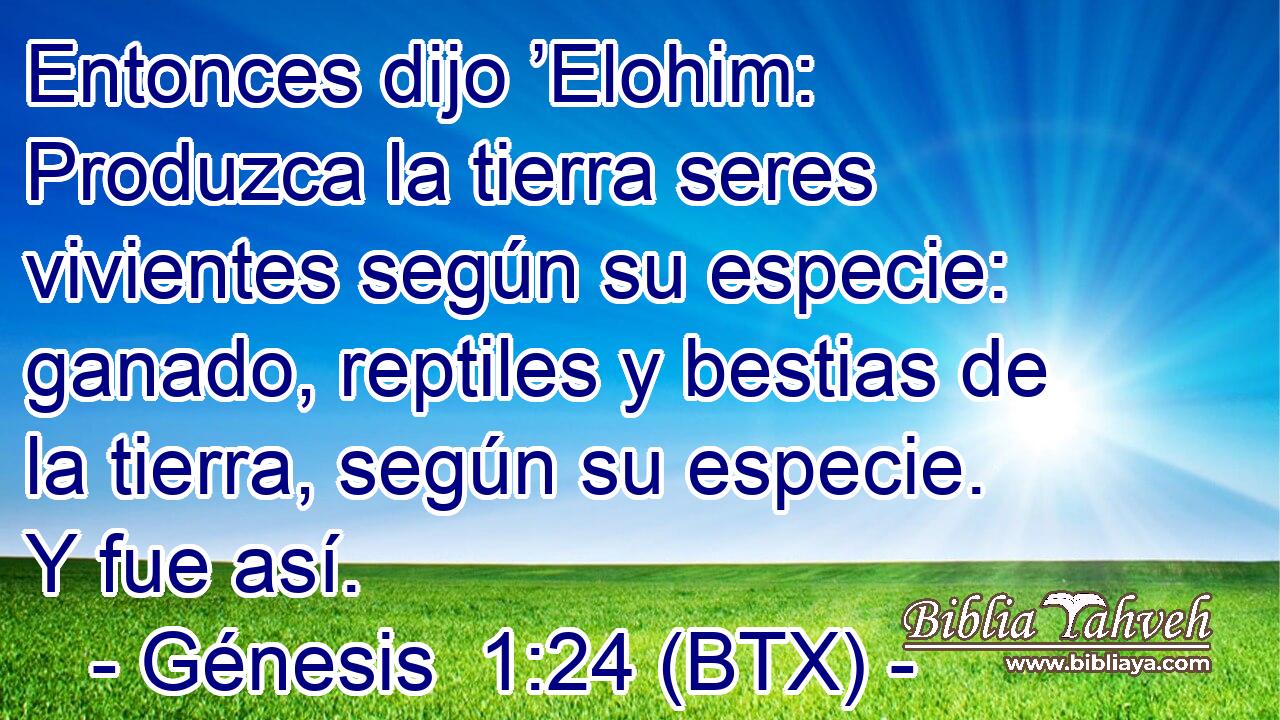 Entonces dijo ’Elohim: Produzca la tierra seres vivientes según su especie: ganado, reptiles y bestias de la tierra, según su especie. Y fue así.