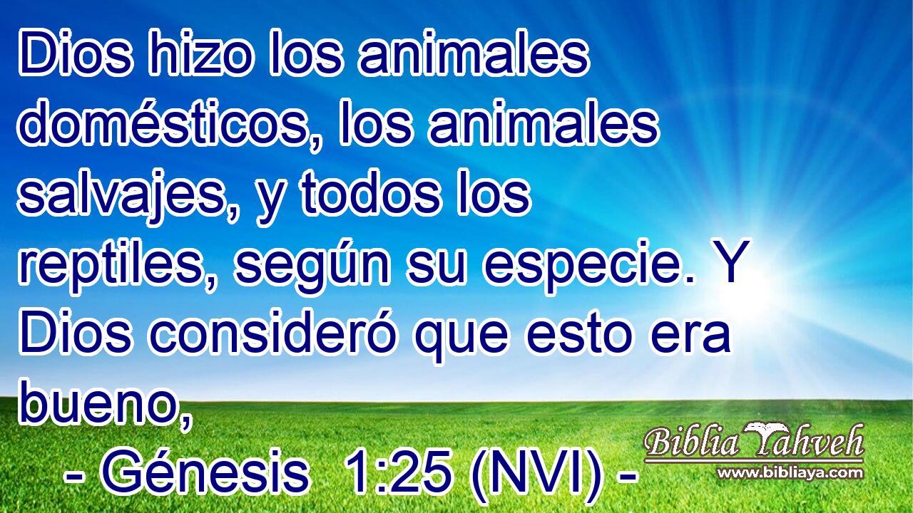  Dios hizo los animales domésticos, los animales salvajes, y todos los reptiles, según su especie. Y Dios consideró que esto era bueno, 