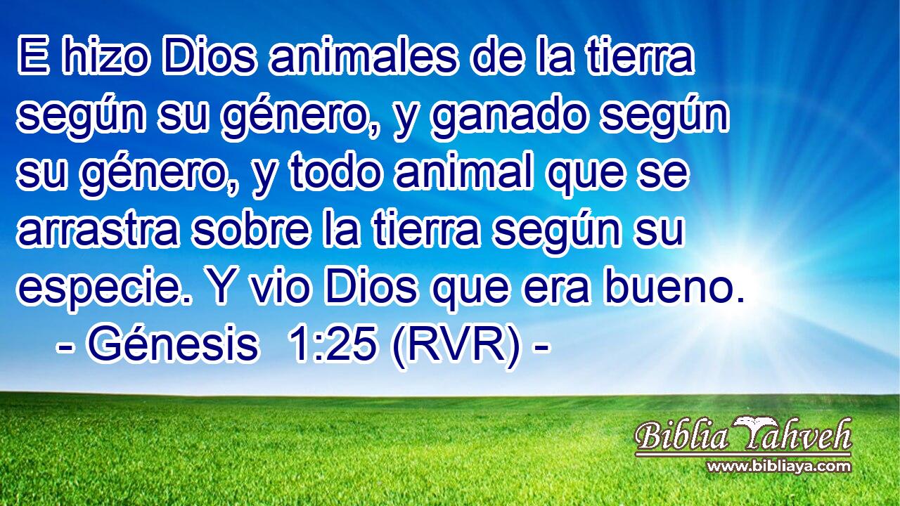 E hizo Dios animales de la tierra según su género, y ganado según su género, y todo animal que se arrastra sobre la tierra según su especie. Y vio Dios que era bueno.
