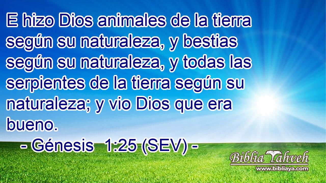 E hizo Dios animales de la tierra según su naturaleza, y bestias según su naturaleza, y todas las serpientes de la tierra según su naturaleza; y vio Dios que era bueno.