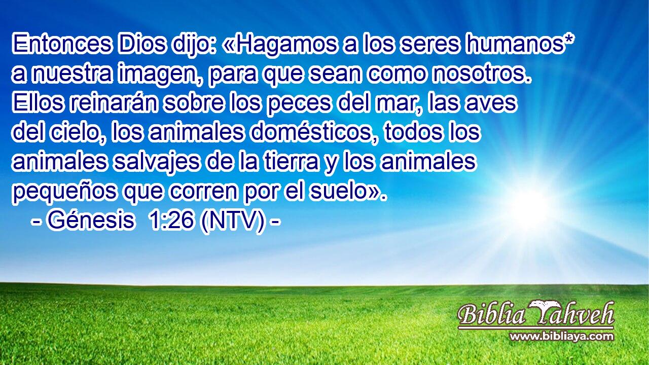 Entonces Dios dijo: «Hagamos a los seres humanos* a nuestra imagen, para que sean como nosotros. Ellos reinarán sobre los peces del mar, las aves del cielo, los animales domésticos, todos los animales salvajes de la tierra y los animales pequeños que corren por el suelo».