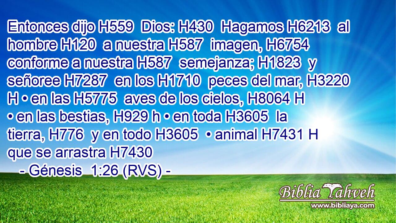 Entonces dijo H559  Dios: H430  Hagamos H6213  al hombre H120  a nuestra H587  imagen, H6754  conforme a nuestra H587  semejanza; H1823  y señoree H7287  en los H1710  peces del mar, H3220 H • en las H5775  aves de los cielos, H8064 H • en las bestias, H929 h • en toda H3605  la tierra, H776  y en todo H3605  • animal H7431 H que se arrastra H7430 