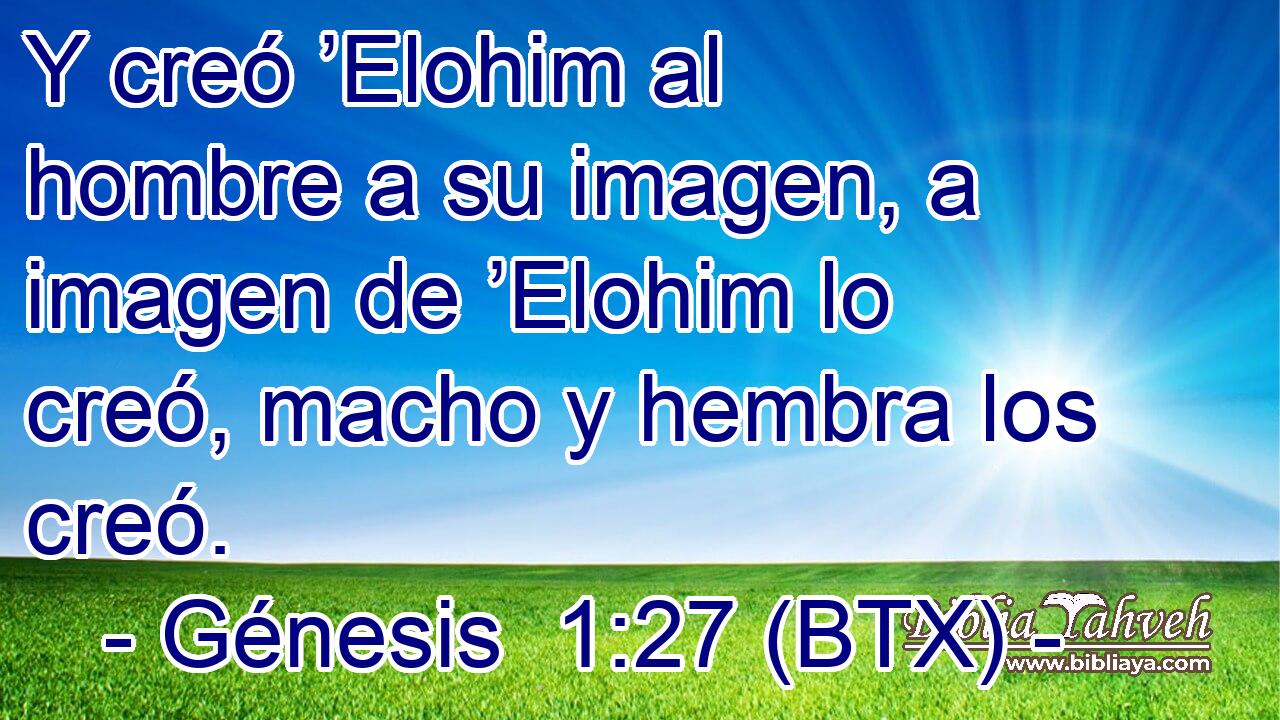 Y creó ’Elohim al hombre a su imagen, a imagen de ’Elohim lo creó, macho y hembra los creó.
