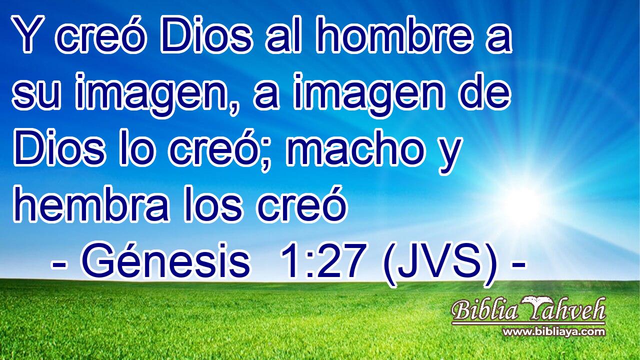 Y creó Dios al hombre a su imagen, a imagen de Dios lo creó; macho y hembra los creó