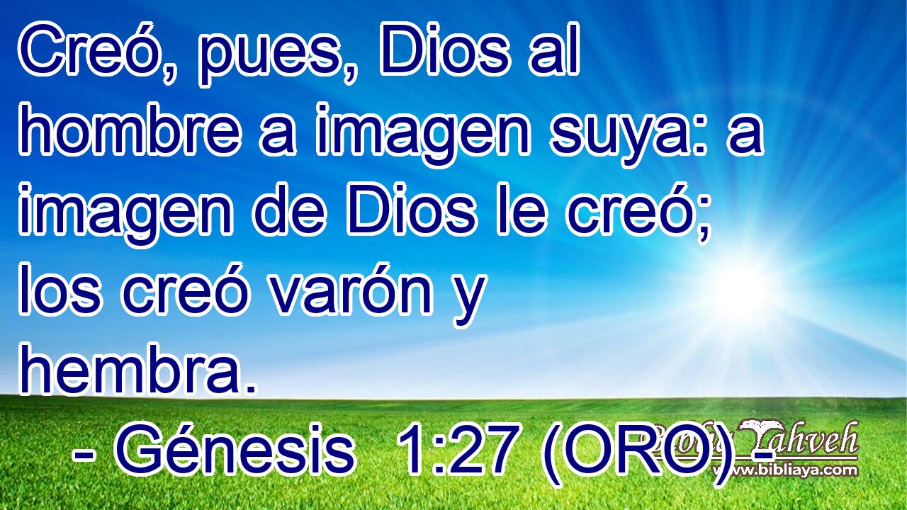  Creó, pues, Dios al hombre a imagen suya: a imagen de Dios le creó; los creó varón y hembra. 