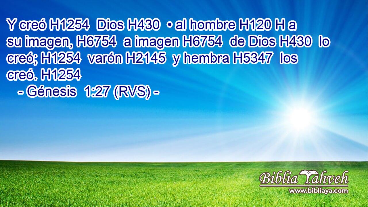Y creó H1254  Dios H430  • al hombre H120 H a su imagen, H6754  a imagen H6754  de Dios H430  lo creó; H1254  varón H2145  y hembra H5347  los creó. H1254  