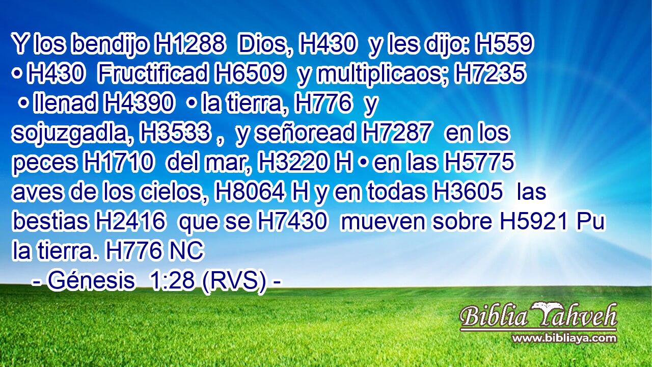 Y los bendijo H1288  Dios, H430  y les dijo: H559  • H430  Fructificad H6509  y multiplicaos; H7235  • llenad H4390  • la tierra, H776  y sojuzgadla, H3533 ,  y señoread H7287  en los peces H1710  del mar, H3220 H • en las H5775  aves de los cielos, H8064 H y en todas H3605  las bestias H2416  que se H7430  mueven sobre H5921 Pu la tierra. H776 NC