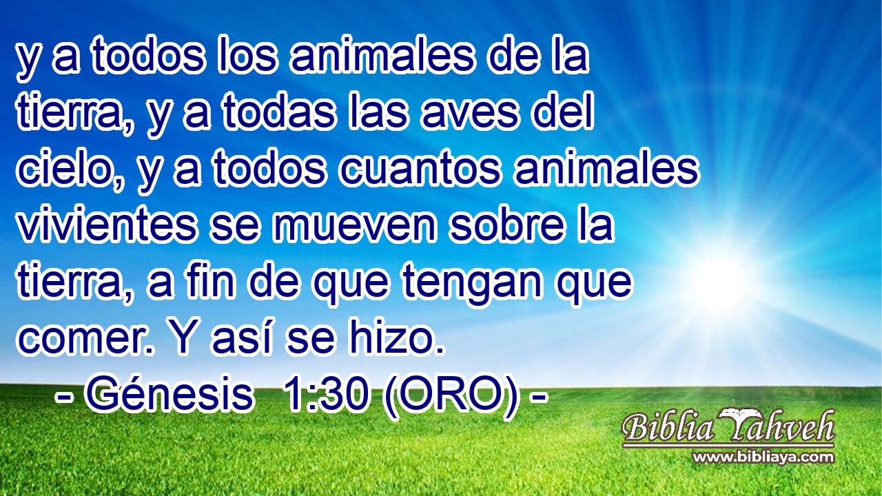  y a todos los animales de la tierra, y a todas las aves del cielo, y a todos cuantos animales vivientes se mueven sobre la tierra, a fin de que tengan que comer. Y así se hizo. 