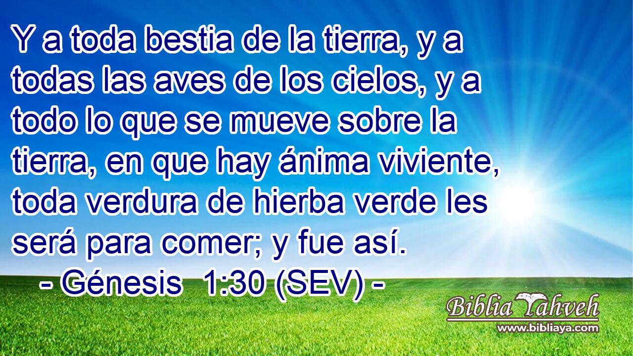 Y a toda bestia de la tierra, y a todas las aves de los cielos, y a todo lo que se mueve sobre la tierra, en que hay ánima viviente, toda verdura de hierba verde les será para comer; y fue así.