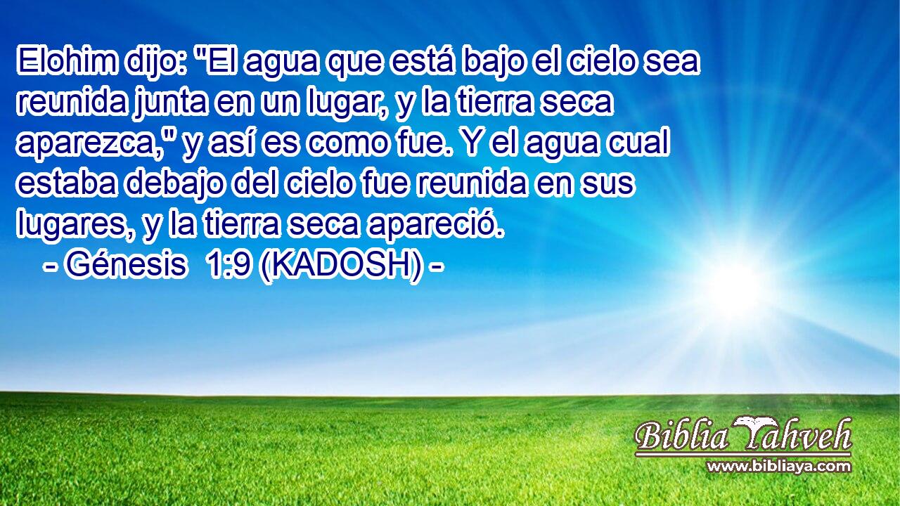  Elohim dijo: 