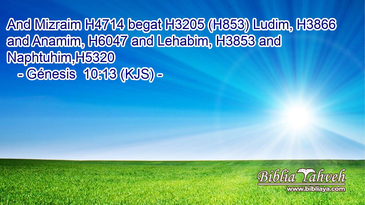 And Mizraim H4714 begat H3205 (H853) Ludim, H3866 and Anamim, H6047 and Lehabim, H3853 and Naphtuhim,H5320