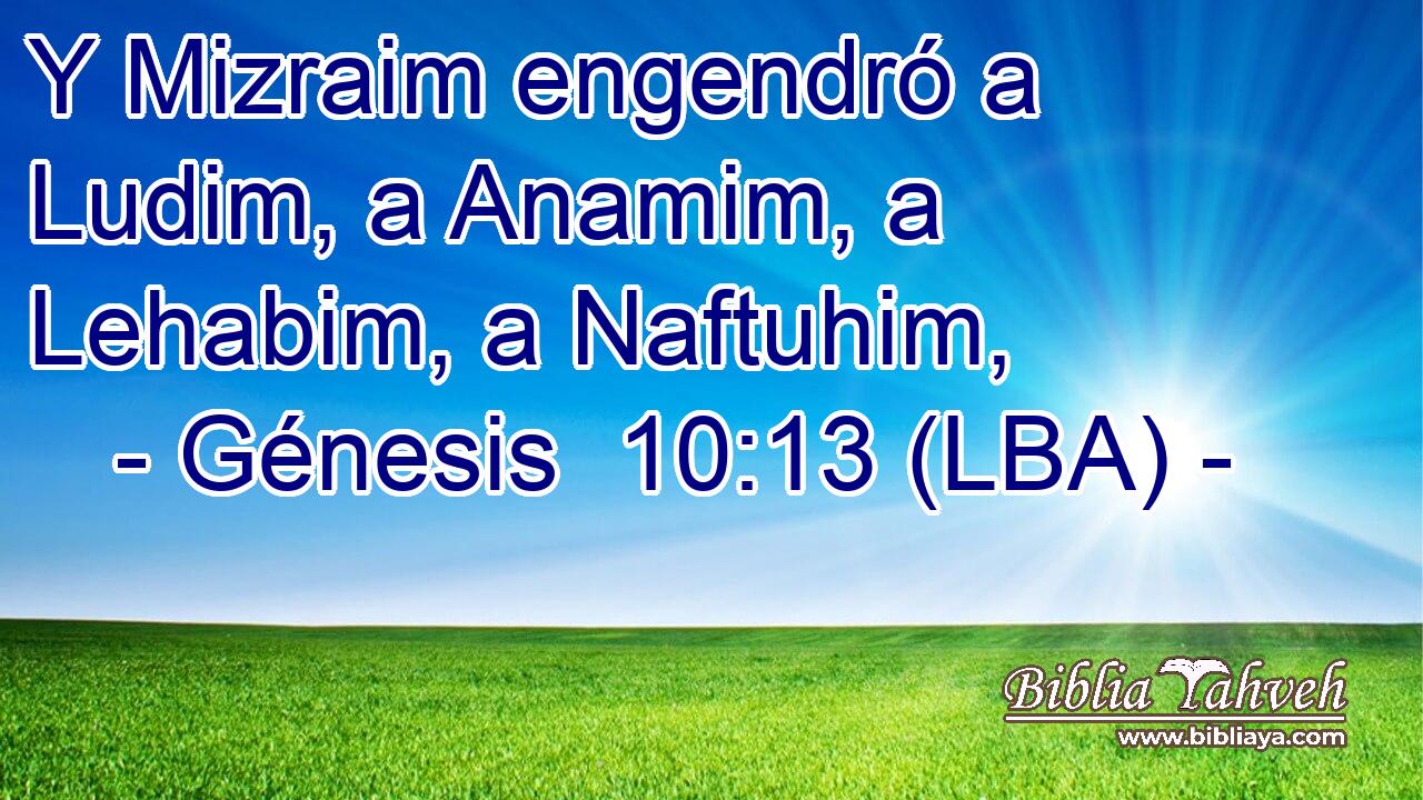 Y Mizraim engendró a Ludim, a Anamim, a Lehabim, a Naftuhim,