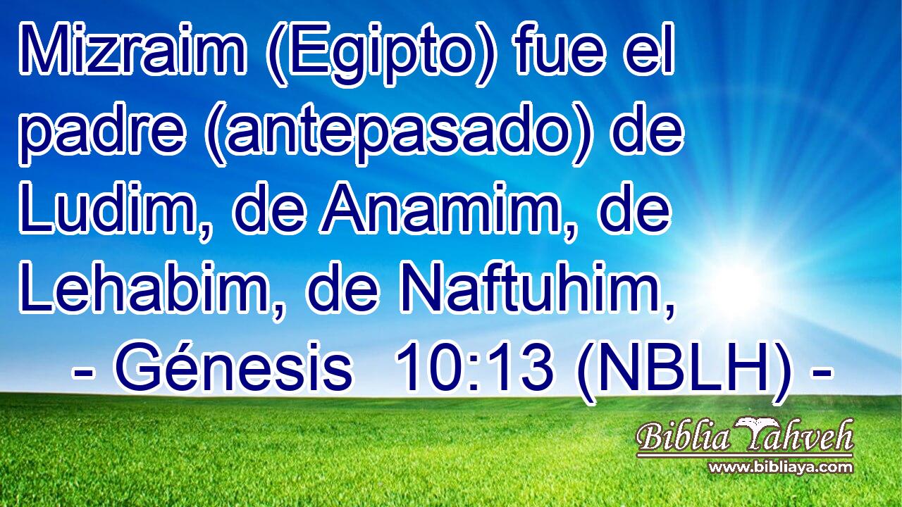  Mizraim (Egipto) fue el padre (antepasado) de Ludim, de Anamim, de Lehabim, de Naftuhim, 