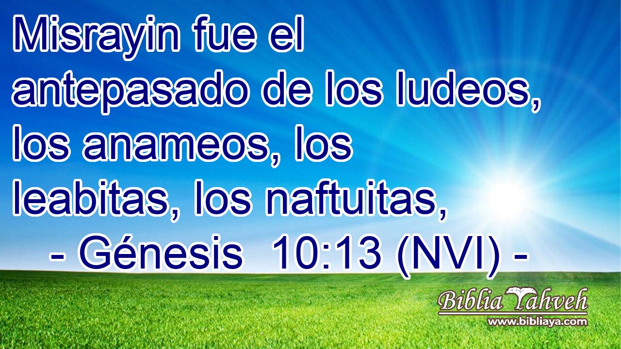  Misrayin fue el antepasado de los ludeos, los anameos, los leabitas, los naftuitas, 