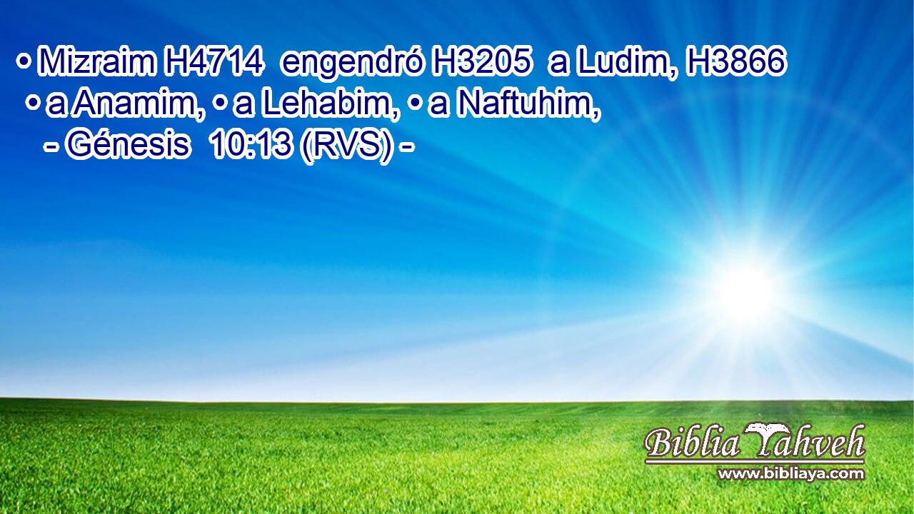 • Mizraim H4714  engendró H3205  a Ludim, H3866  • a Anamim, • a Lehabim, • a Naftuhim, 