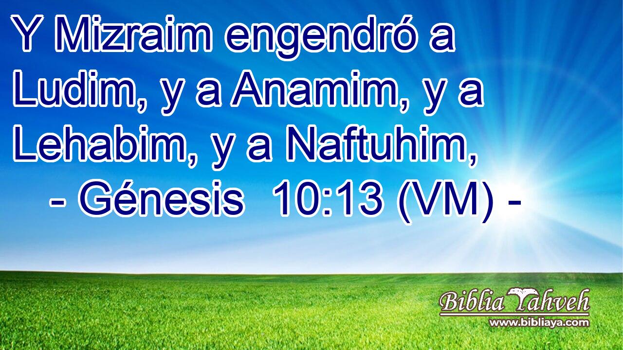  Y Mizraim engendró a Ludim, y a Anamim, y a Lehabim, y a Naftuhim, 