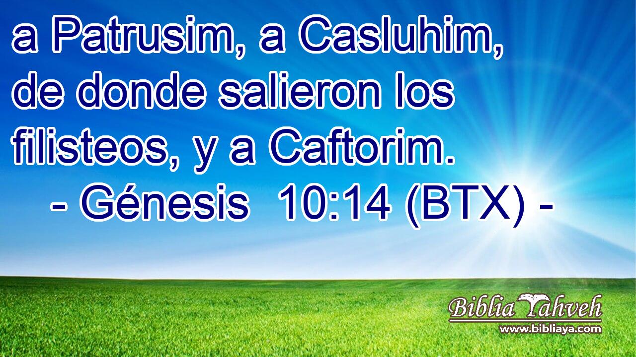 a Patrusim, a Casluhim, de donde salieron los filisteos, y a Caftorim.