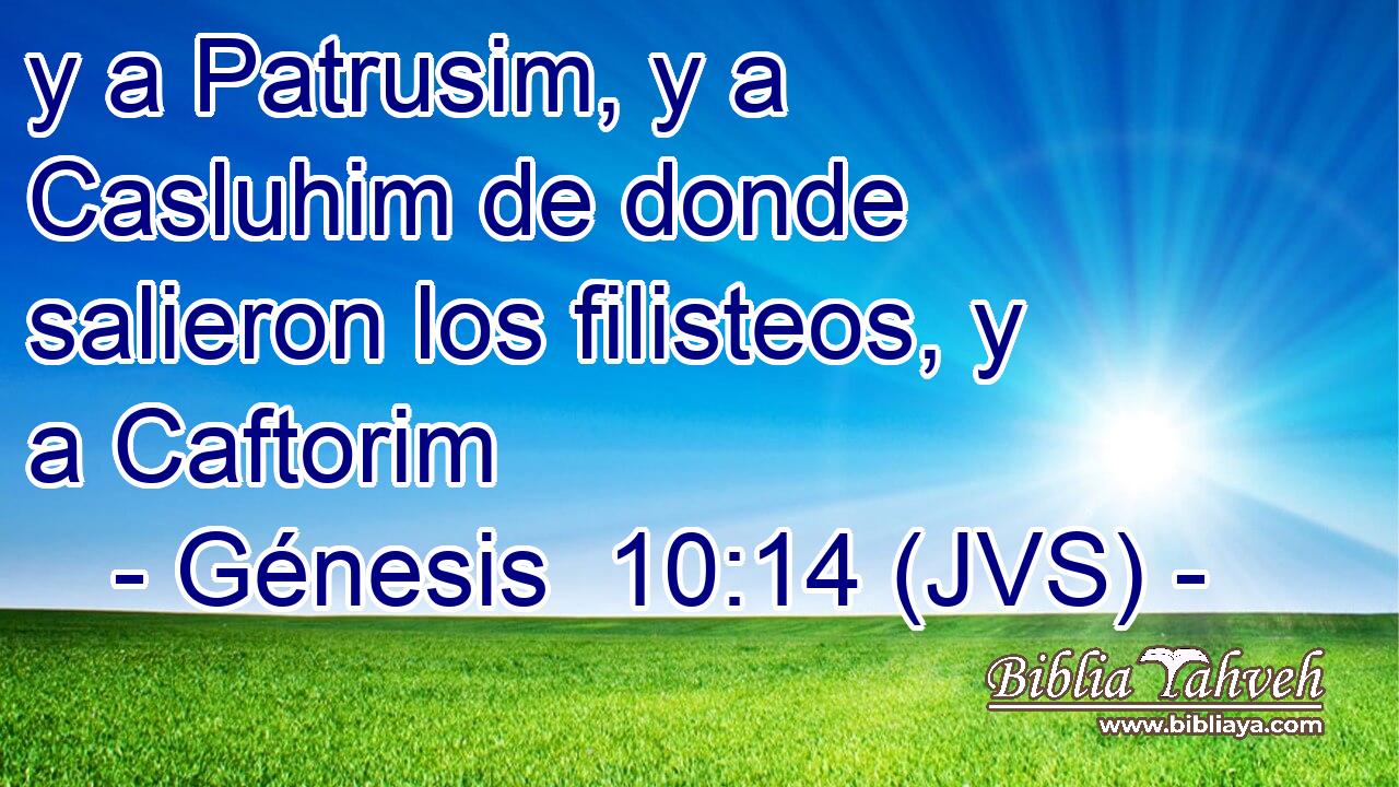 y a Patrusim, y a Casluhim de donde salieron los filisteos, y a Caftorim