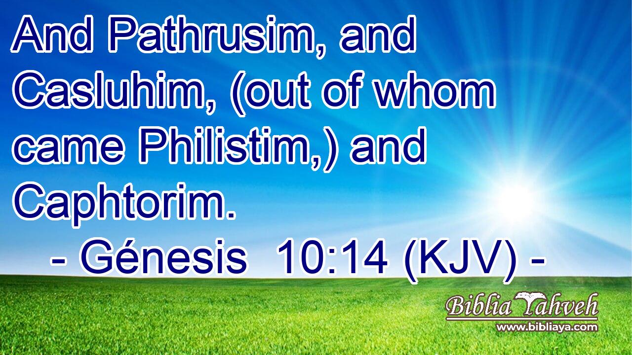 And Pathrusim, and Casluhim, (out of whom came Philistim,) and Caphtorim.