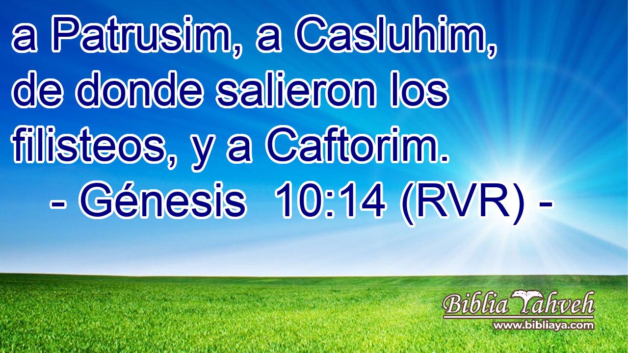 a Patrusim, a Casluhim, de donde salieron los filisteos, y a Caftorim.