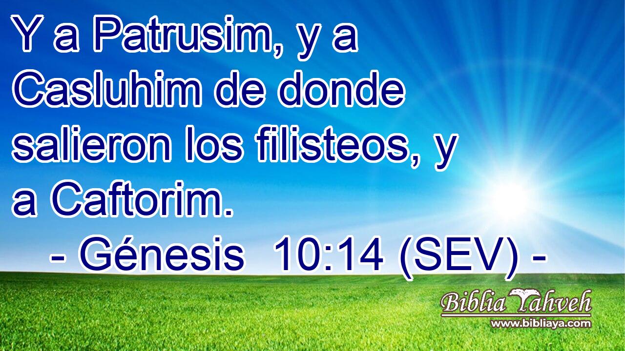 Y a Patrusim, y a Casluhim de donde salieron los filisteos, y a Caftorim.