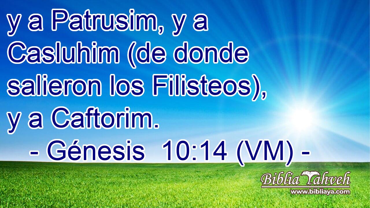  y a Patrusim, y a Casluhim (de donde salieron los Filisteos), y a Caftorim. 