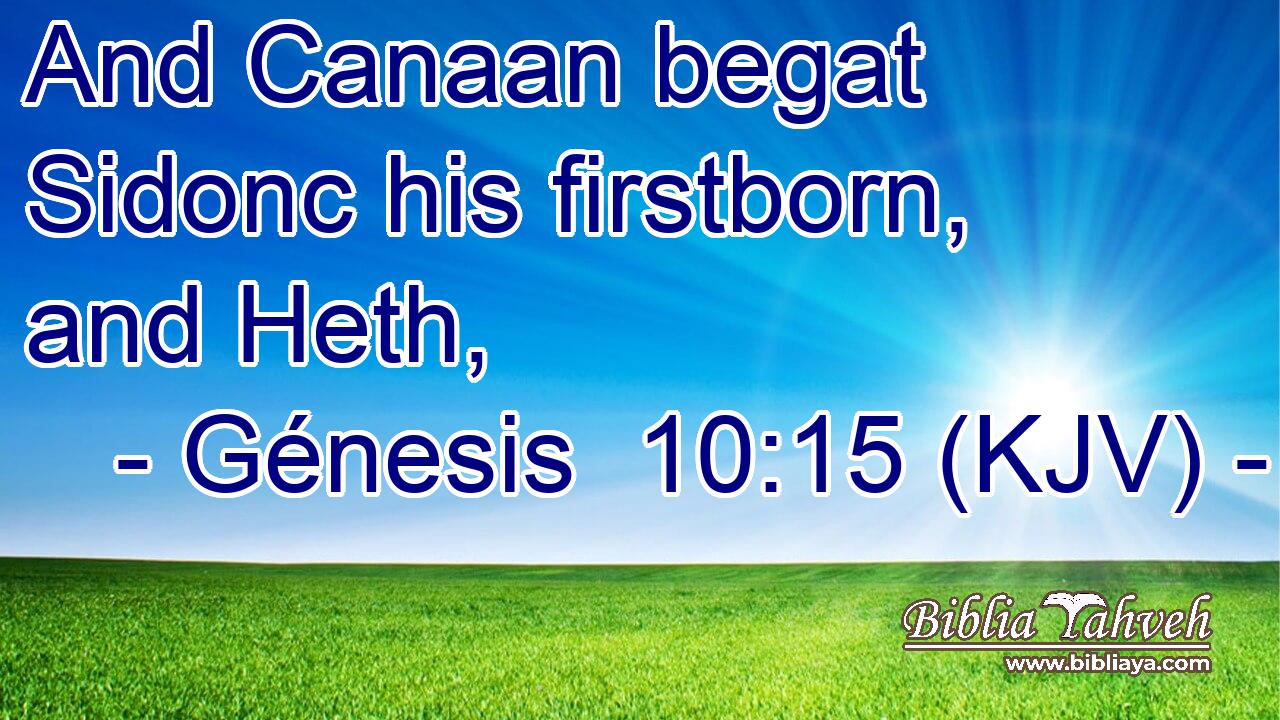 And Canaan begat Sidonc his firstborn, and Heth,