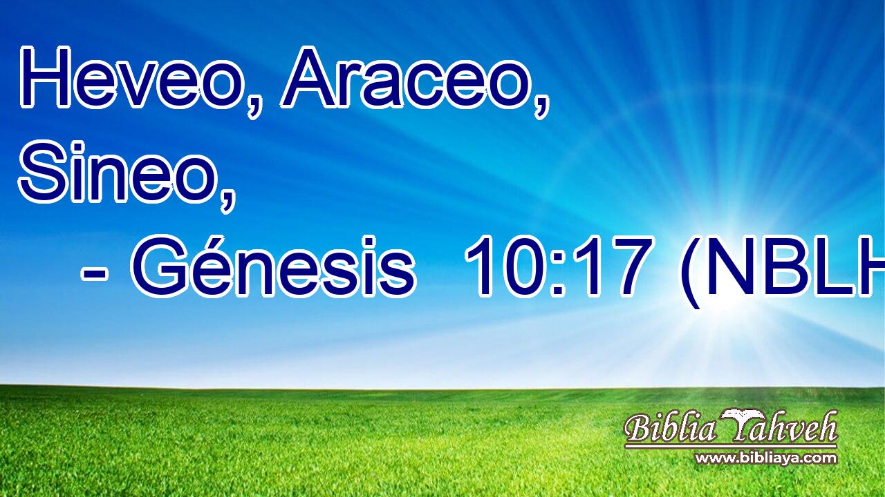  Heveo, Araceo, Sineo, 