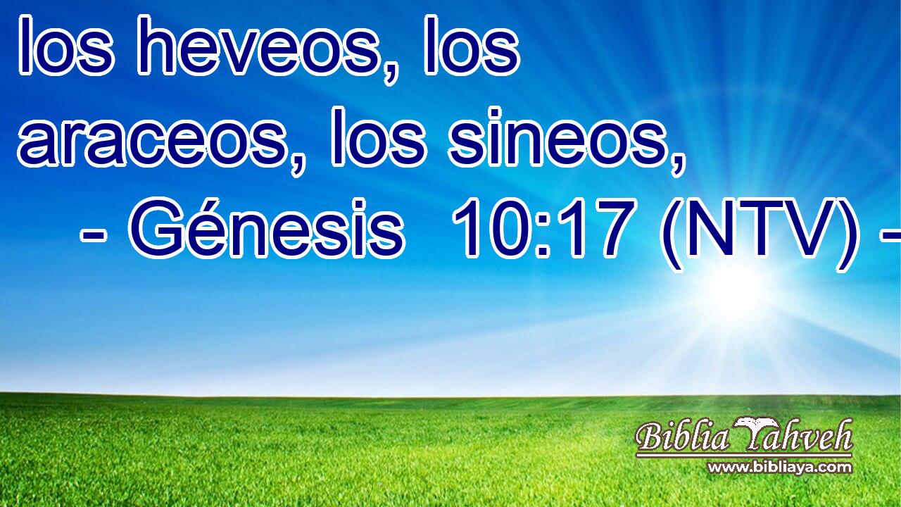 los heveos, los araceos, los sineos,