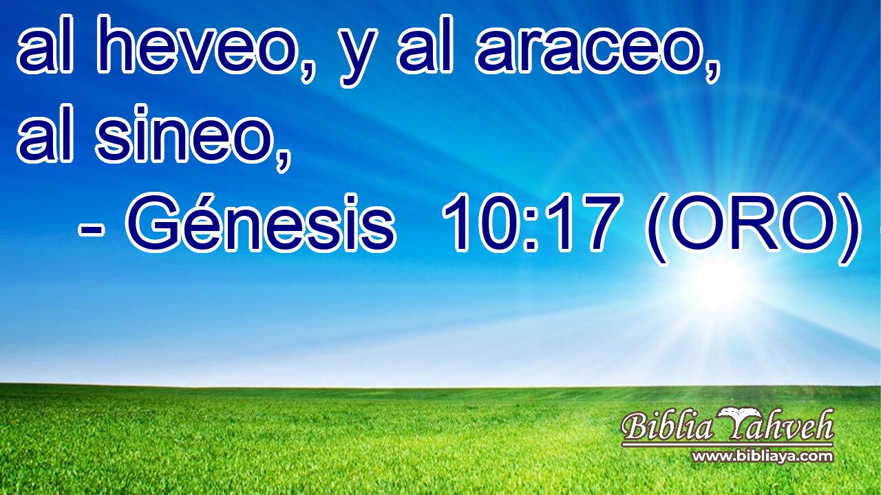  al heveo, y al araceo, al sineo, 