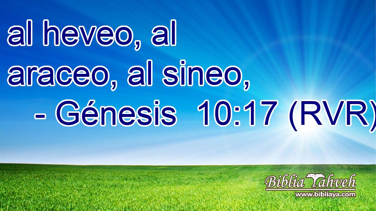 al heveo, al araceo, al sineo,