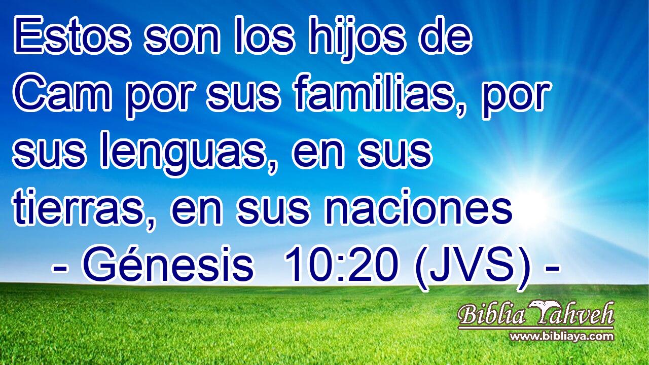 Estos son los hijos de Cam por sus familias, por sus lenguas, en sus tierras, en sus naciones