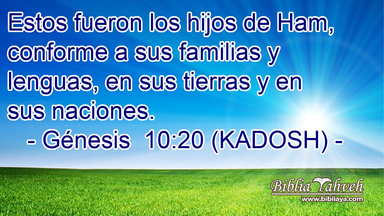 Estos fueron los hijos de Ham, conforme a sus familias y lenguas, en sus tierras y en sus naciones. 
