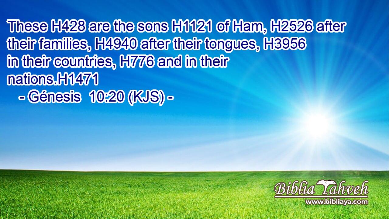 These H428 are the sons H1121 of Ham, H2526 after their families, H4940 after their tongues, H3956 in their countries, H776 and in their nations.H1471