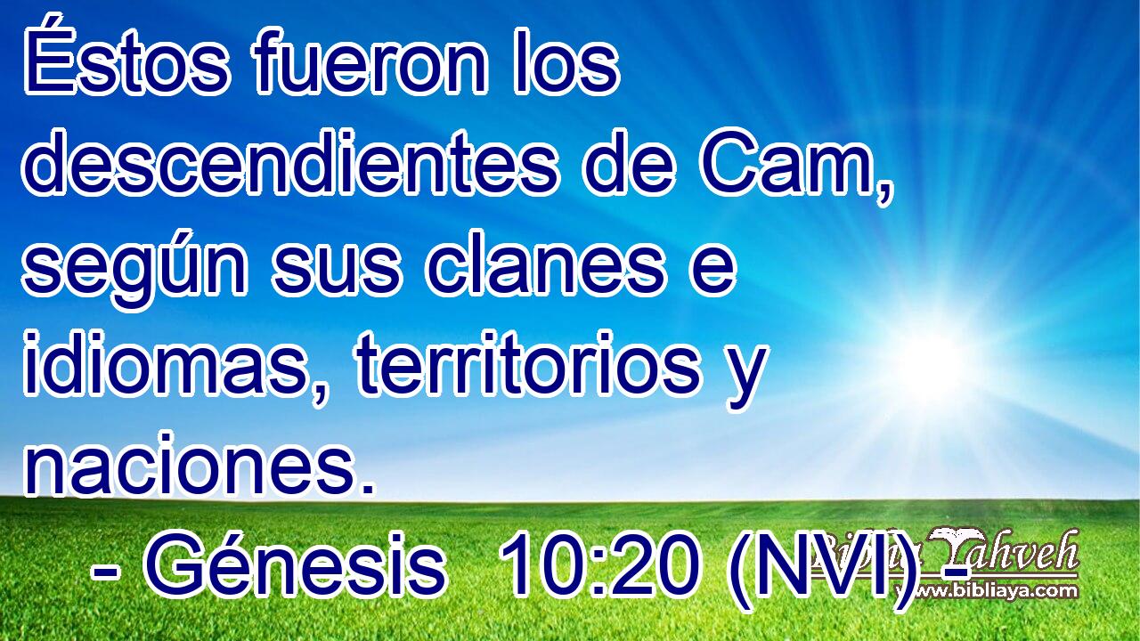  Éstos fueron los descendientes de Cam, según sus clanes e idiomas, territorios y naciones. 