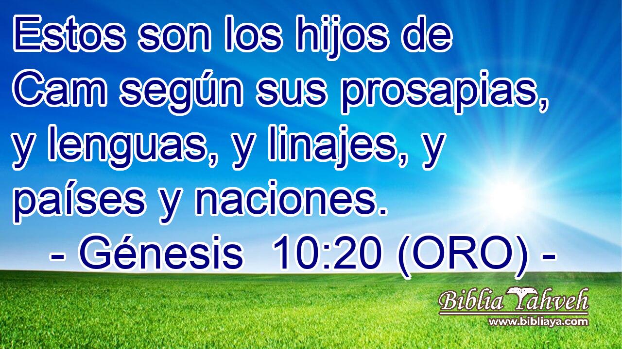  Estos son los hijos de Cam según sus prosapias, y lenguas, y linajes, y países y naciones. 