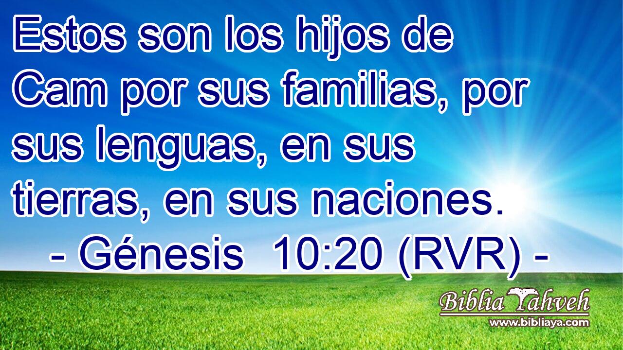 Estos son los hijos de Cam por sus familias, por sus lenguas, en sus tierras, en sus naciones.