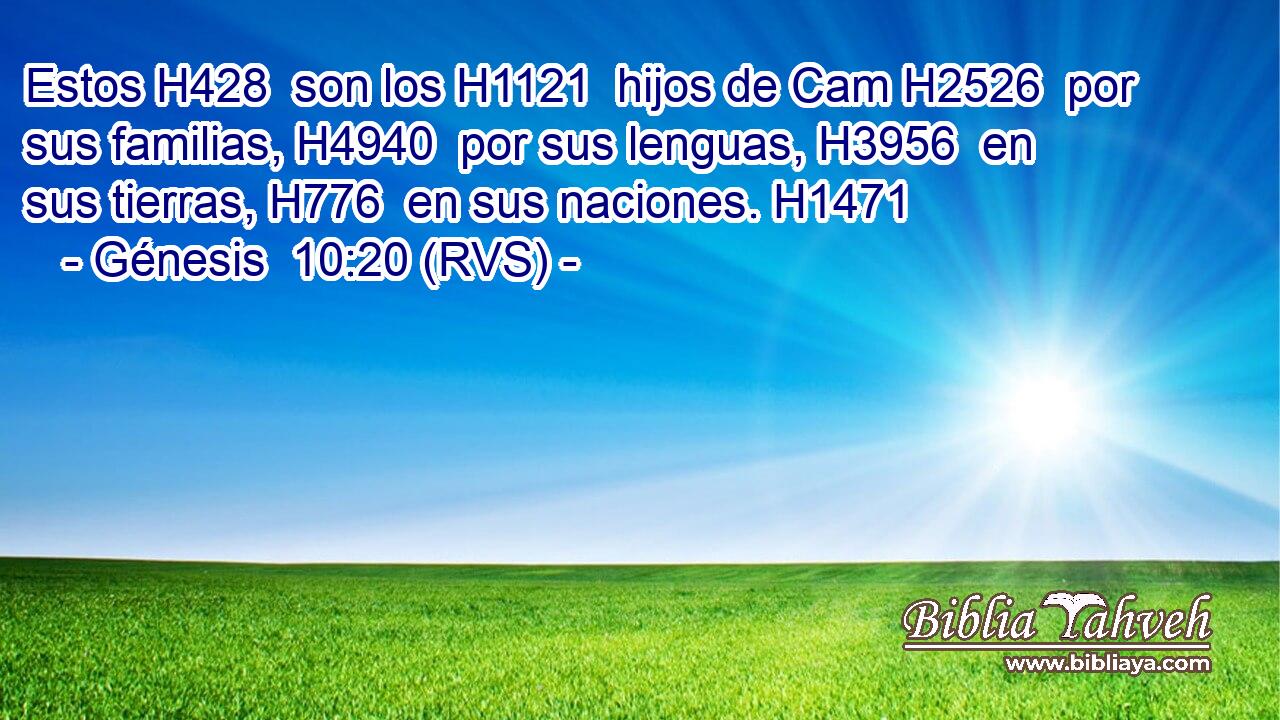 Estos H428  son los H1121  hijos de Cam H2526  por sus familias, H4940  por sus lenguas, H3956  en sus tierras, H776  en sus naciones. H1471  