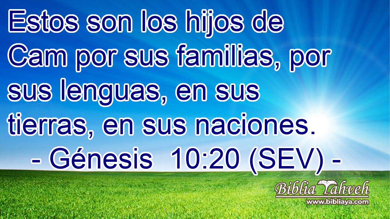 Estos son los hijos de Cam por sus familias, por sus lenguas, en sus tierras, en sus naciones.
