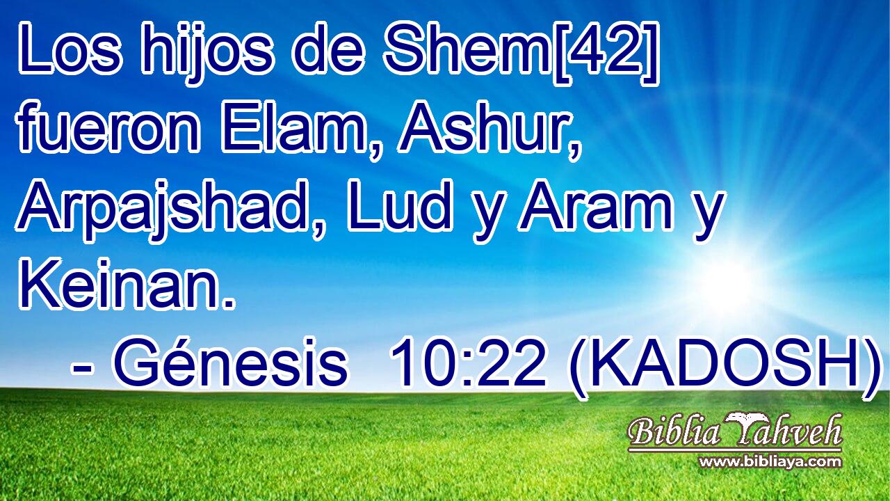  Los hijos de Shem[42] fueron Elam, Ashur, Arpajshad, Lud y Aram y Keinan. 