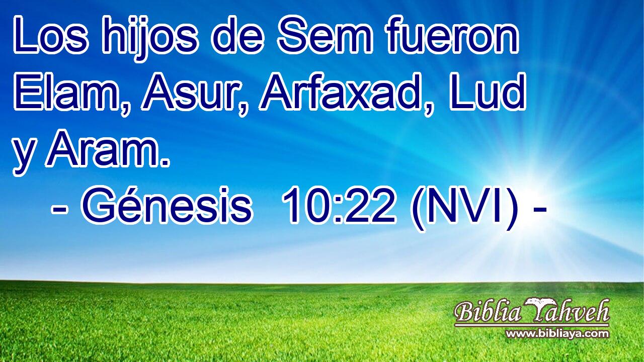  Los hijos de Sem fueron Elam, Asur, Arfaxad, Lud y Aram. 